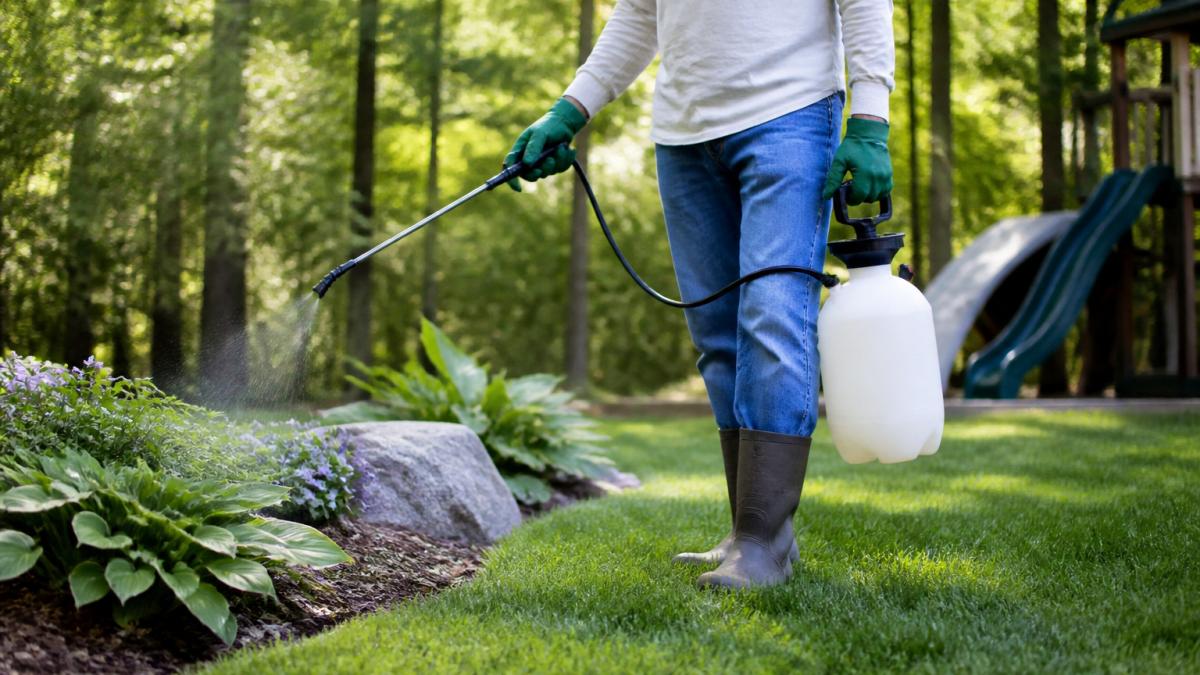 Natural Yard Treatment for Ticks: Canada Guide