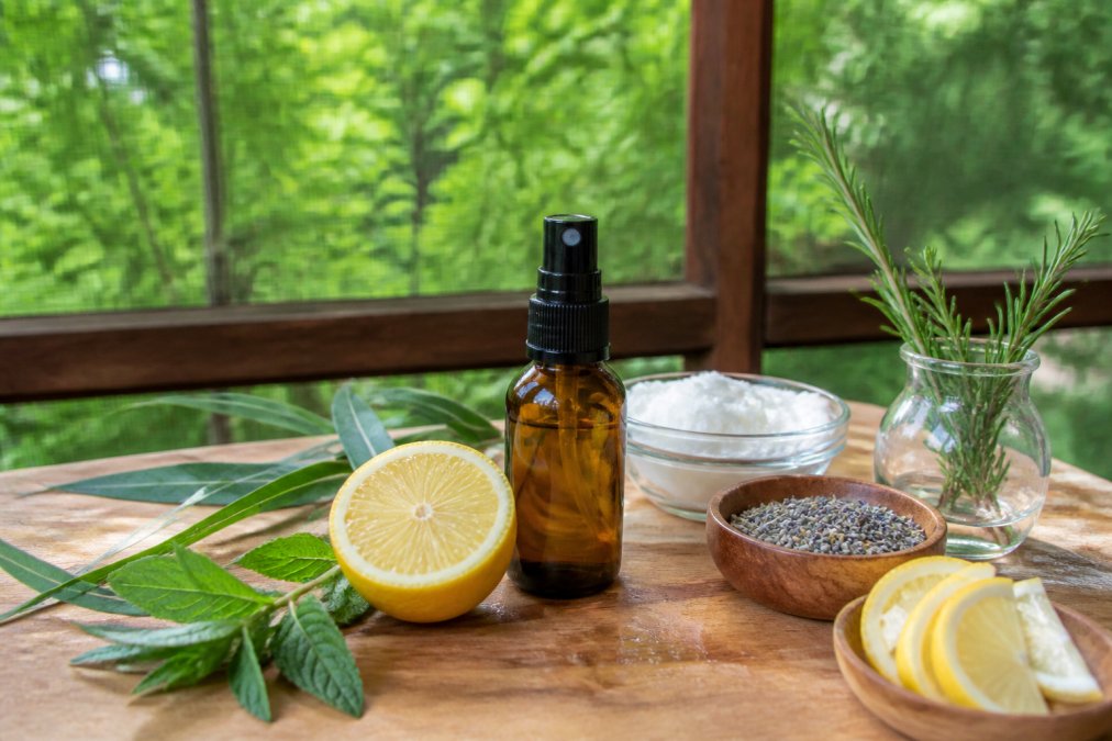 Prevent Mosquito Bites Naturally: 7 Proven Methods