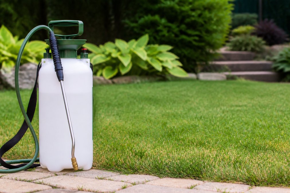 Wondercide Alternative: Natural Yard Sprays for Ticks