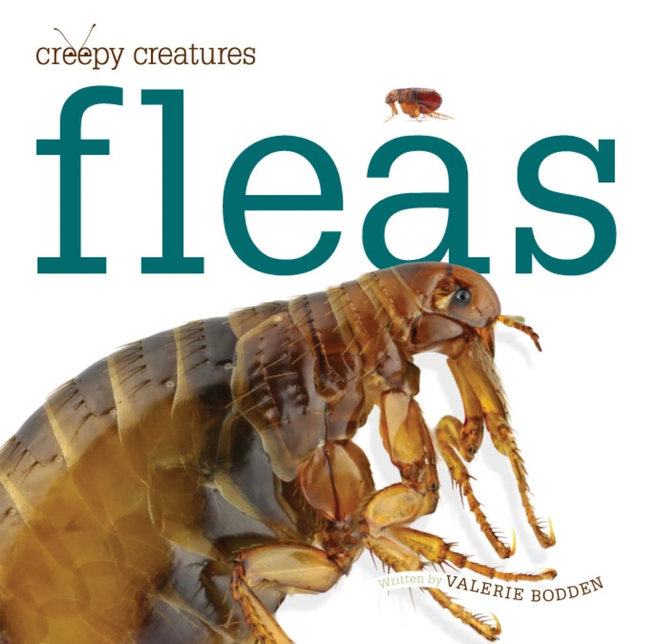 Creepy Creatures Series
