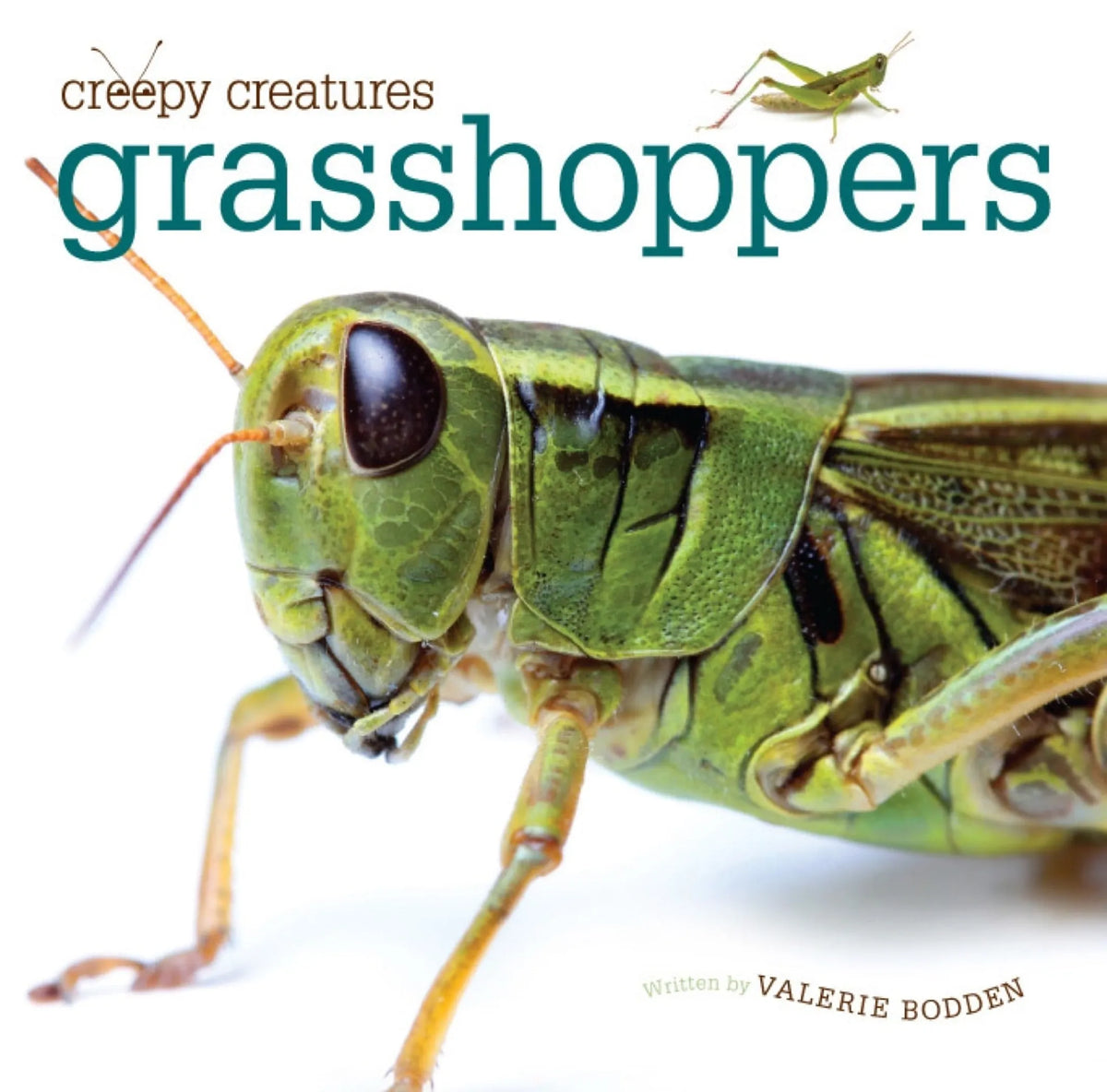 Creepy Creatures Series