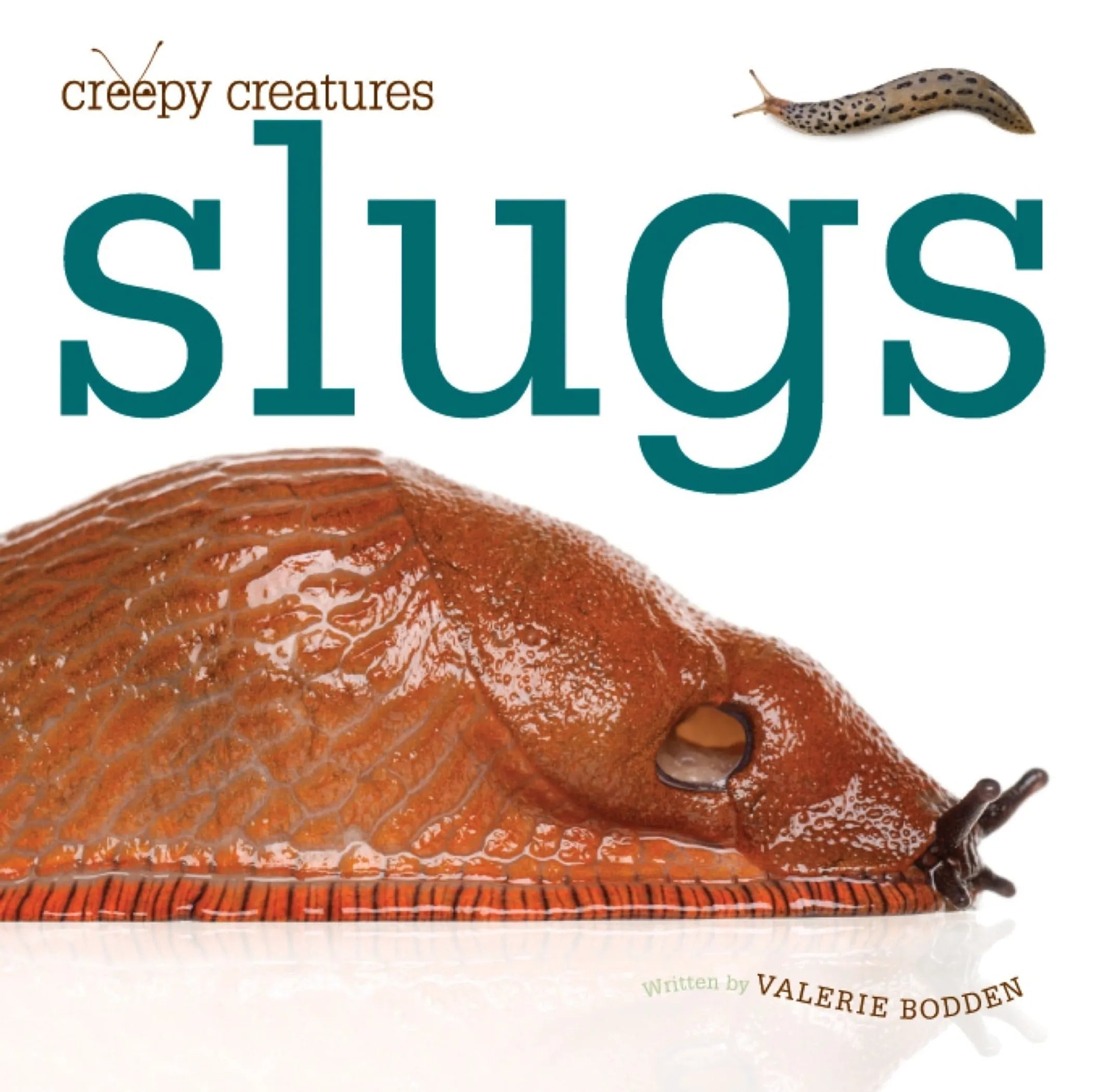 Creepy Creatures Series