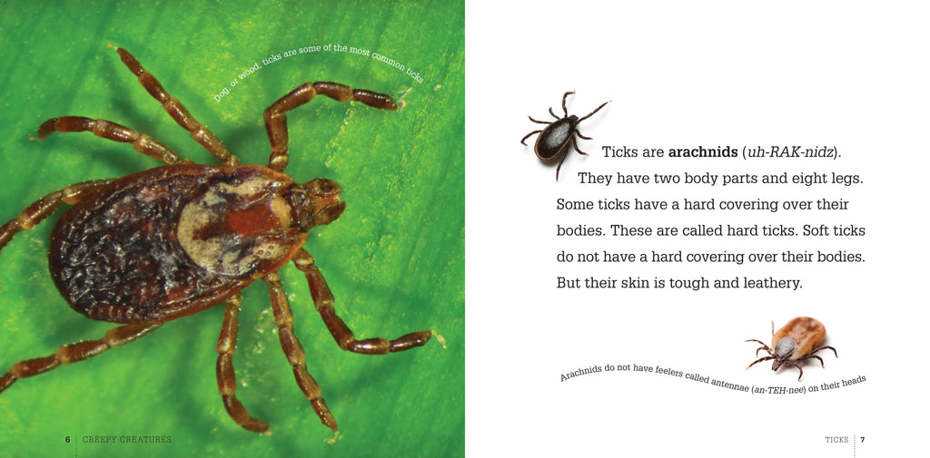 Creepy Creatures Series