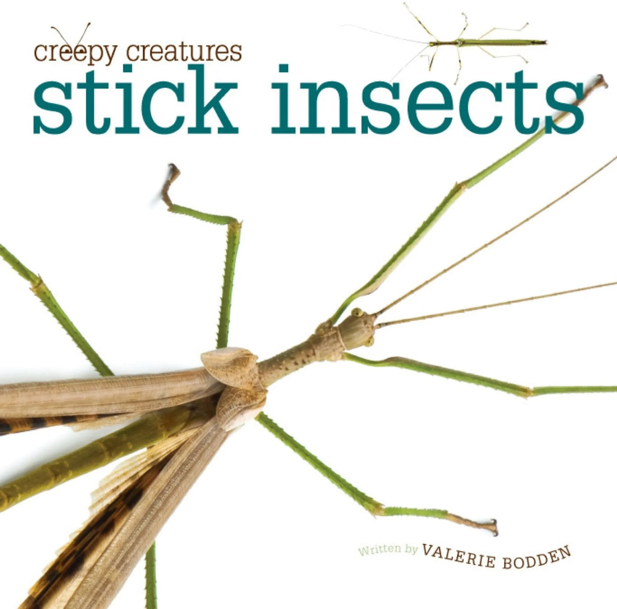 Creepy Creatures Series