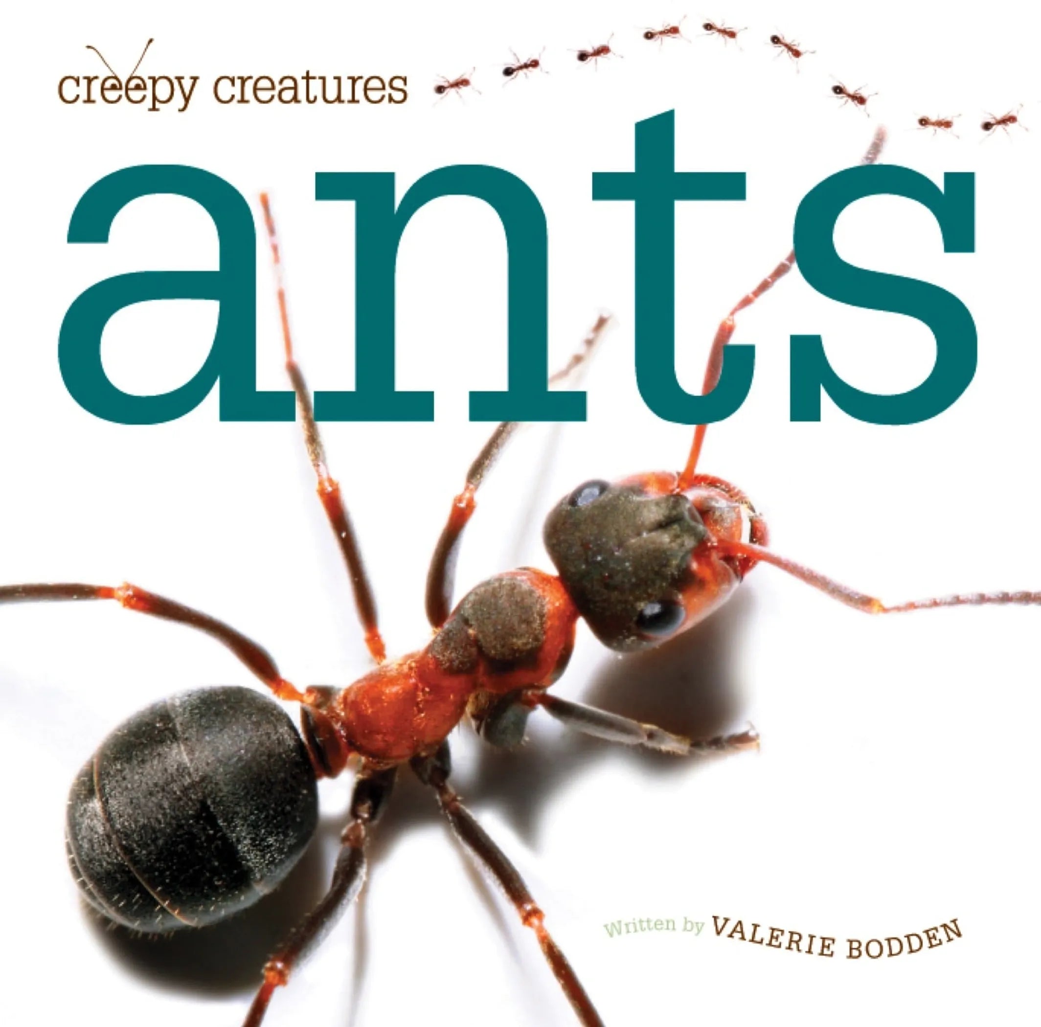 Creepy Creatures Series