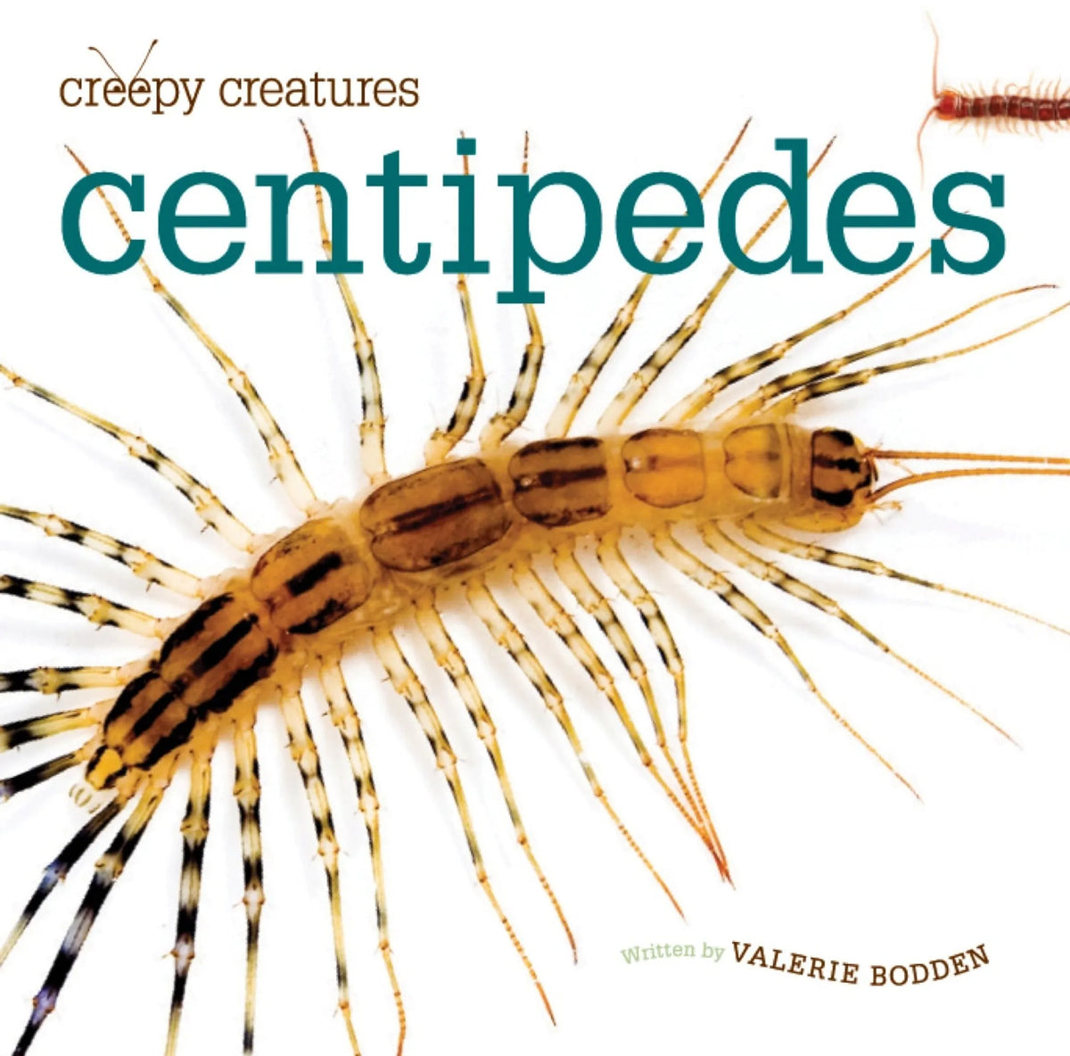 Creepy Creatures Series