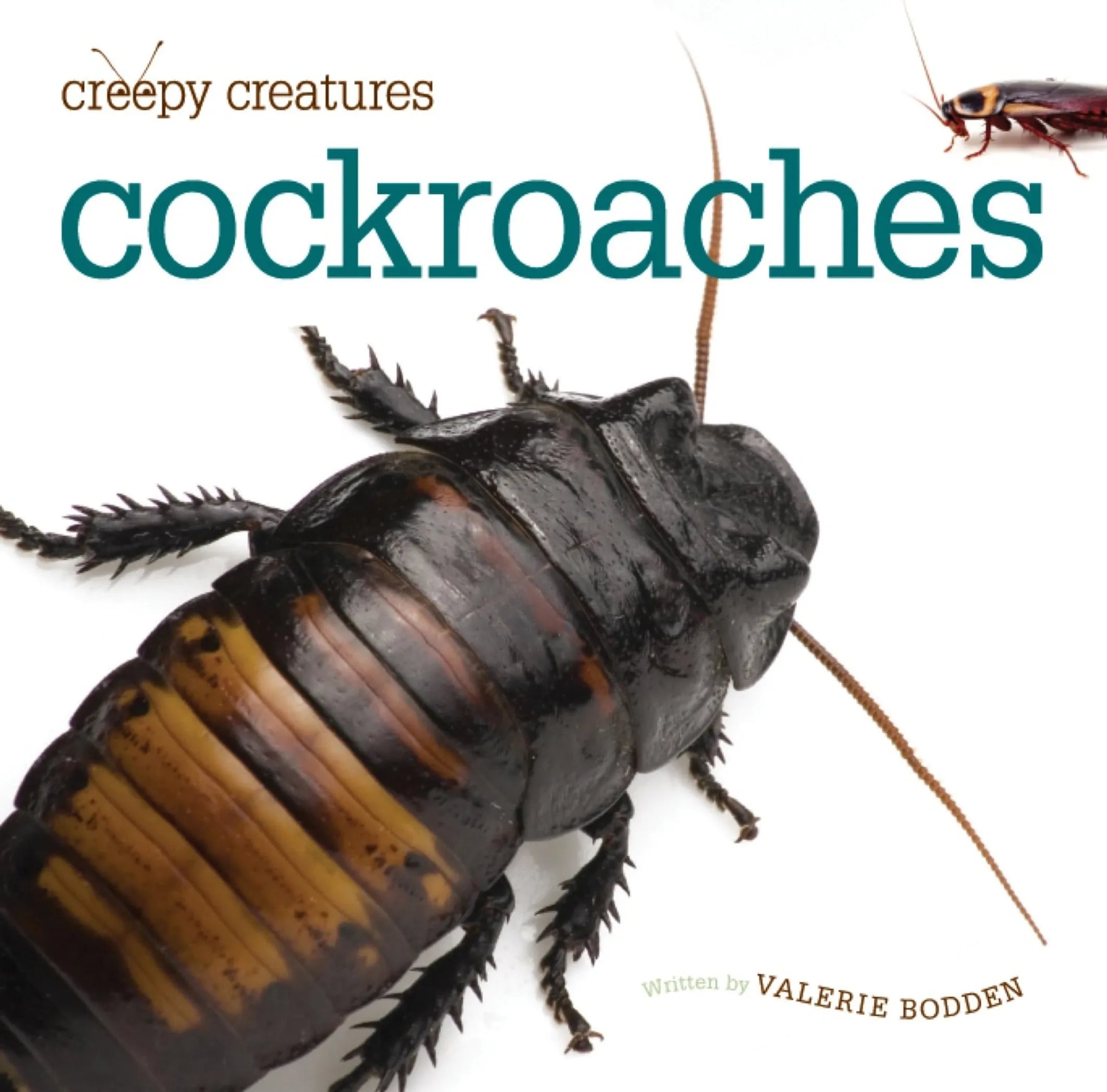 Creepy Creatures Series