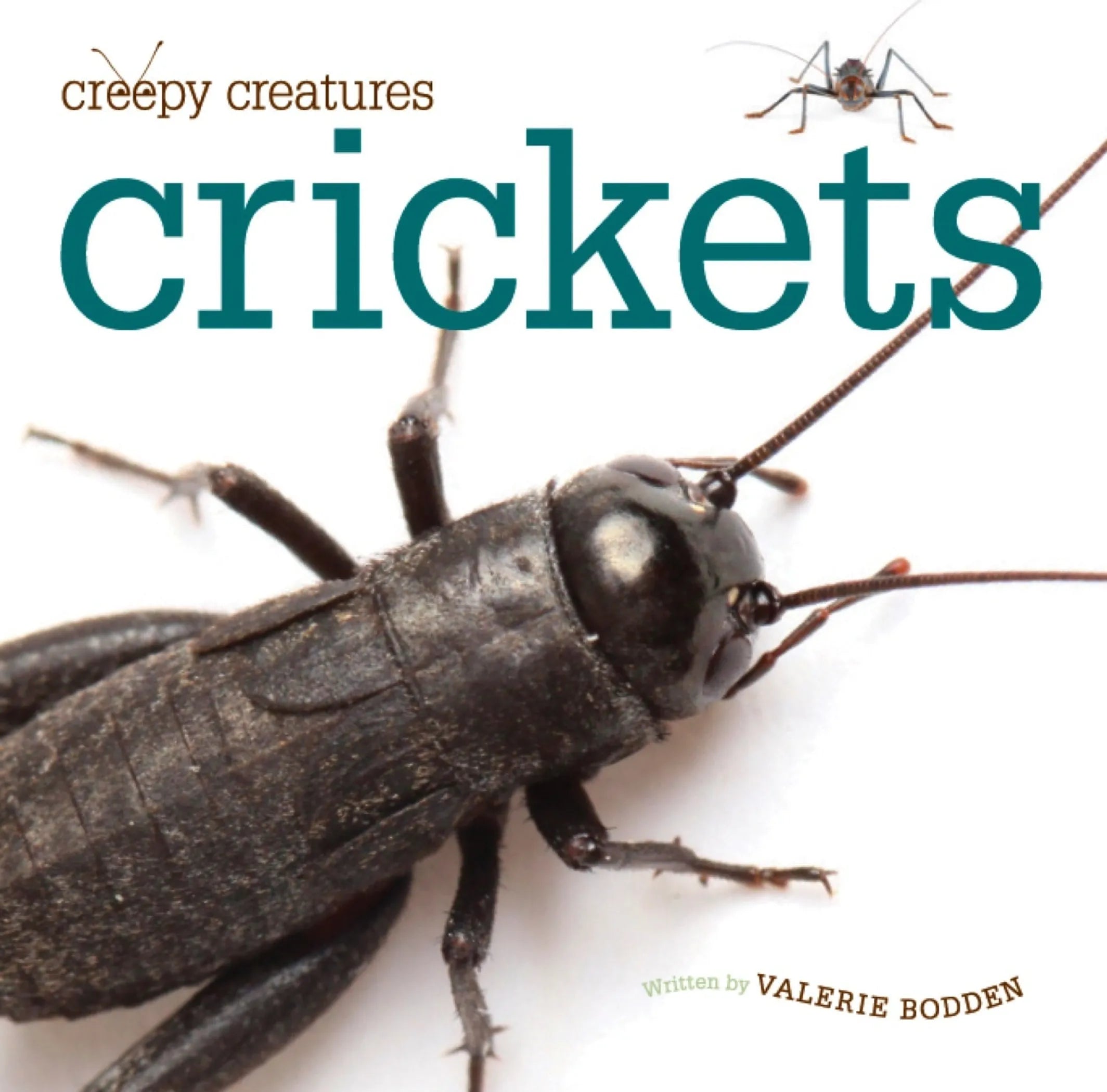 Creepy Creatures Series