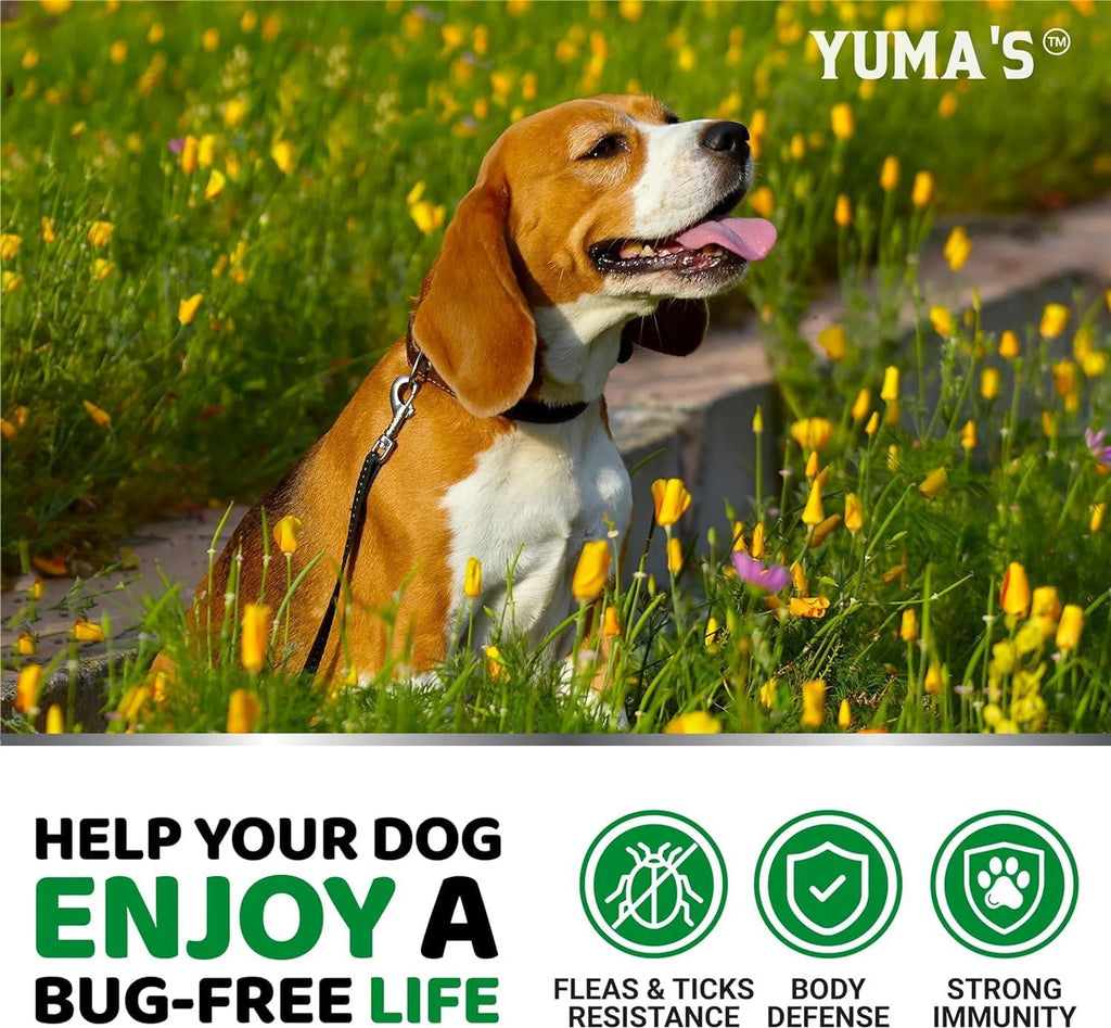2 Pack Flea and Tick Prevention for Dogs Chewables Natural Dog Flea and Tick Treatment Chewable Flea and Tick Chews for Dogs Soft Oral Flea Pills for