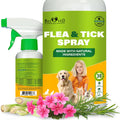 Natural Flea & Tick Home Spray for Dogs, Cats & Ferrets