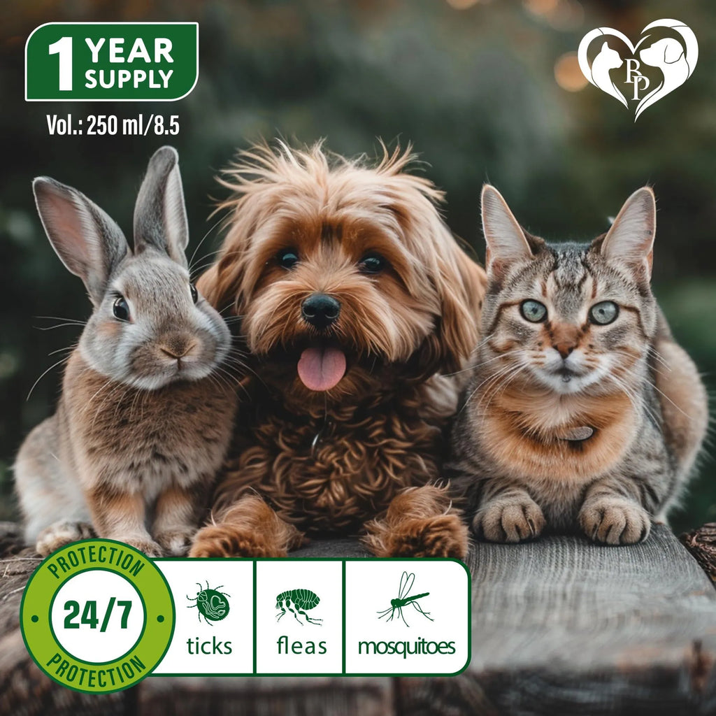 Natural Flea & Tick Home Spray for Dogs, Cats & Ferrets