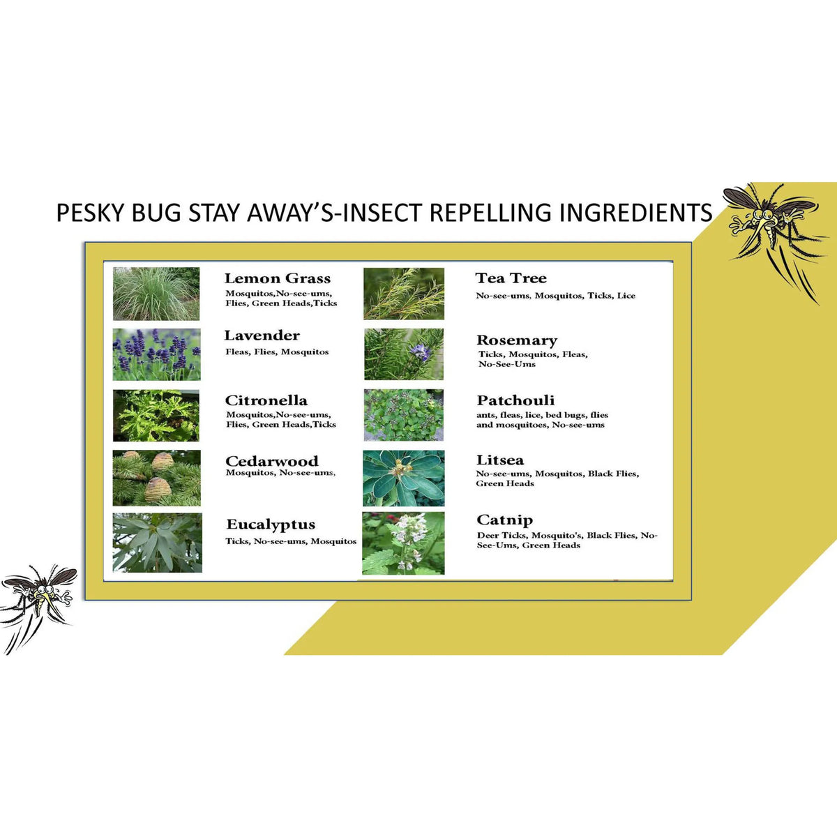 Fight the Bite Plant-Based Insect Deterrent Lotion (Roll-on)