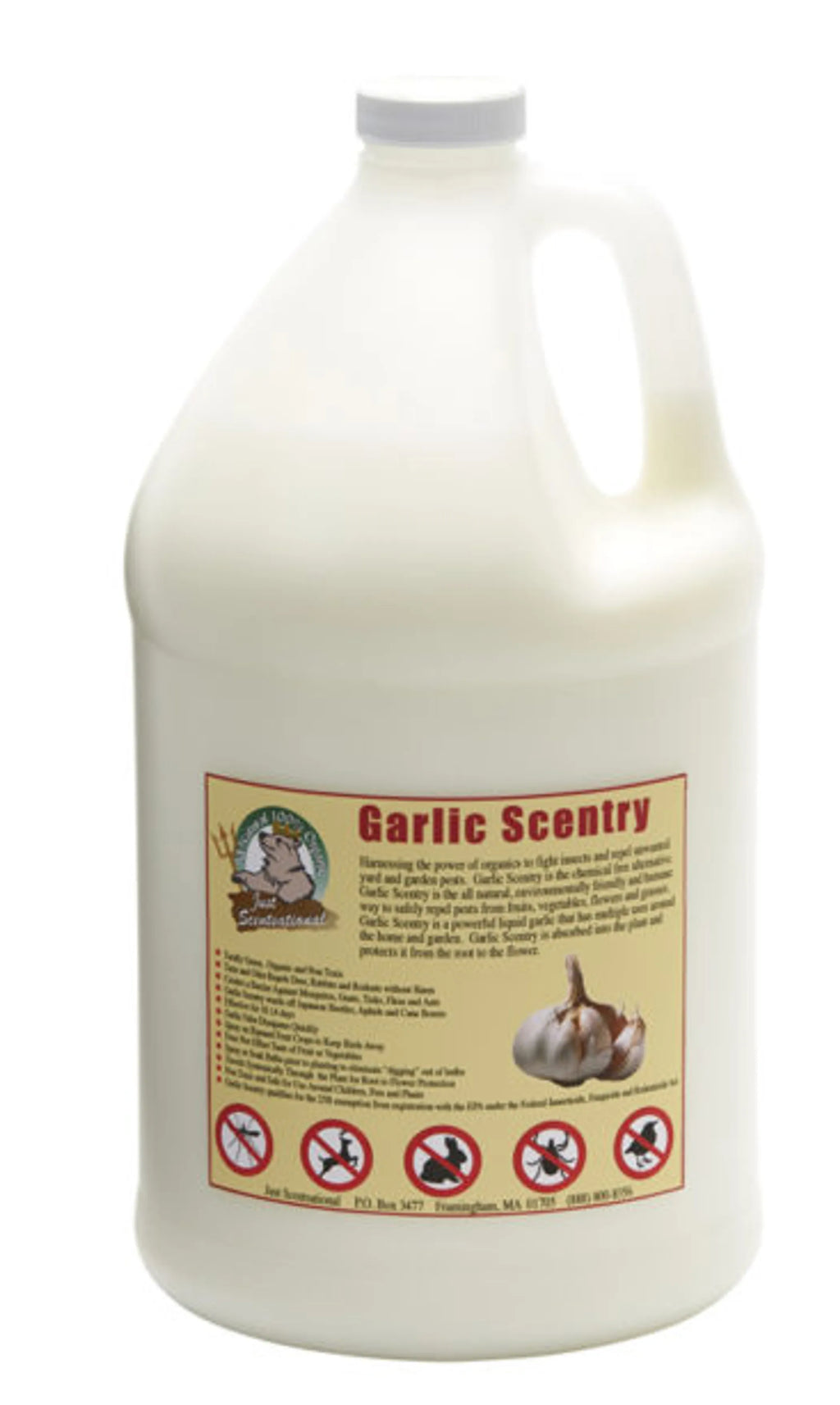 Just Scentsational Garlic Scentry One Gallon